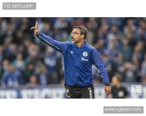 汉堡陷入保级泥潭,形势堪忧! 汉堡陷入保级泥潭,形势堪忧!